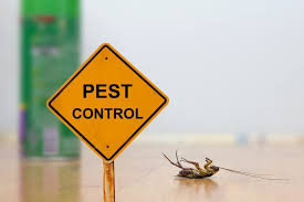 Pest Control Services in Sharjah