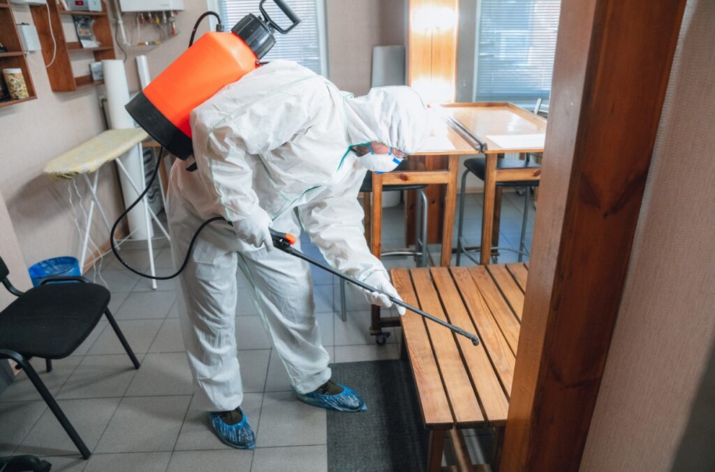 Pest Control Services in Dubai