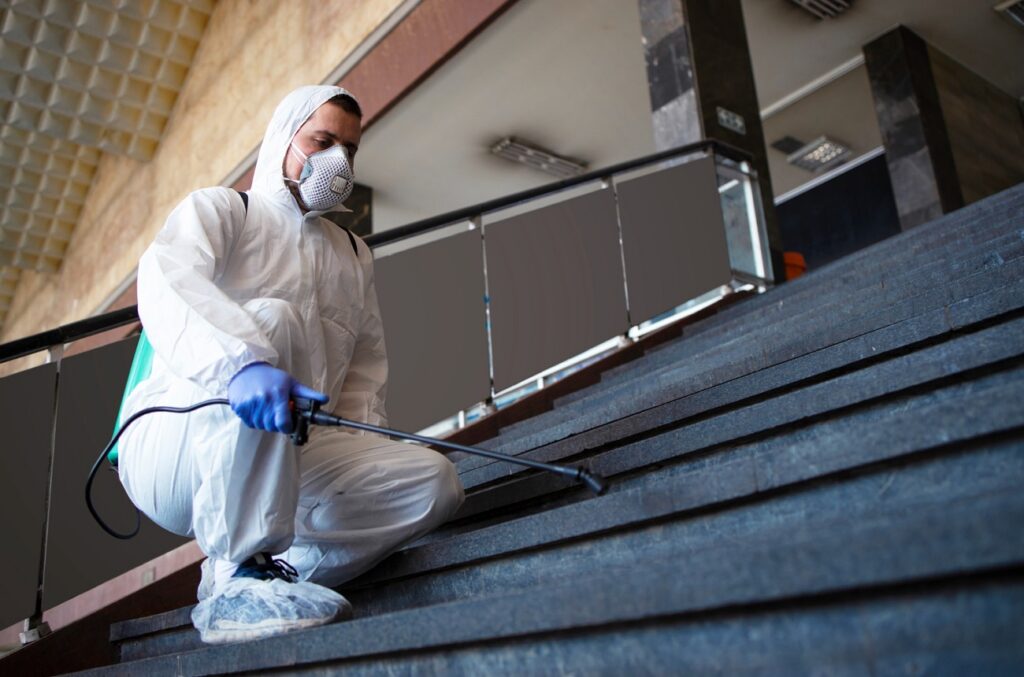 Termite Control Services in Abu Dhabi