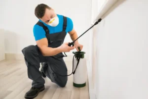 Bed Bug Pest Control in Abu Dhabi