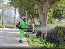 Professional Pest Control in Abu Dhabi