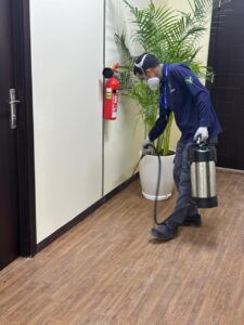 Pest Control Solutions in Abu Dhabi